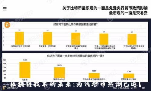 区块链技术的未来:为何炒币热潮已退?