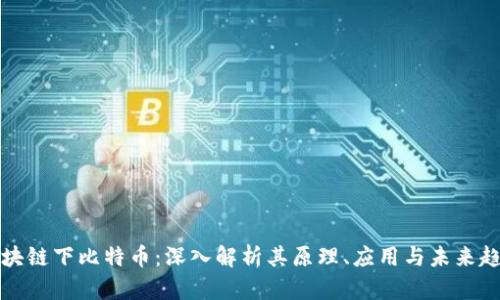 区块链下比特币:深入解析其原理、应用与未来趋势