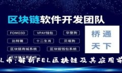 FEL币：解析FEL区块链及其应用前景