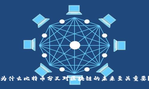 为什么比特币分叉对区块链的未来至关重要？