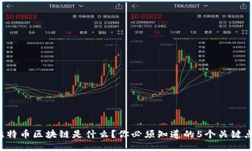 比特币区块链是什么？你必须知道的5个关键点！