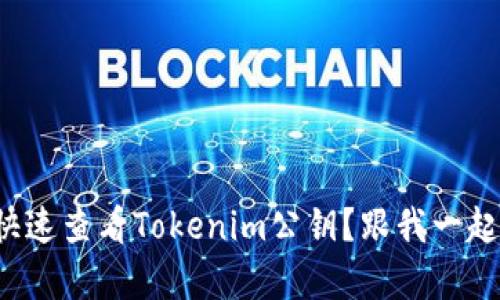 如何快速查看Tokenim公钥?跟我一起学吧!