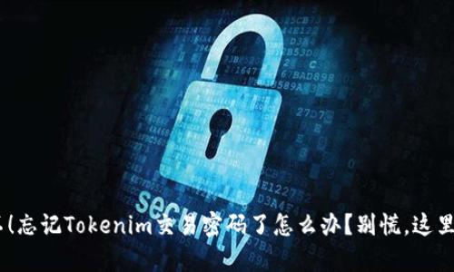 verters哦不!忘记Tokenim交易密码了怎么办?别慌,这里有解决办法!