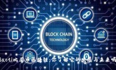 jiaoti比亚币区块链：你了解它的发展与未来吗？