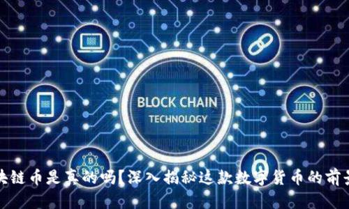 绿洲区块链币是真的吗？深入揭秘这款数字货币的前景和风险