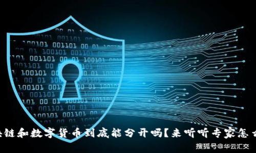 区块链和数字货币到底能分开吗？来听听专家怎么说！