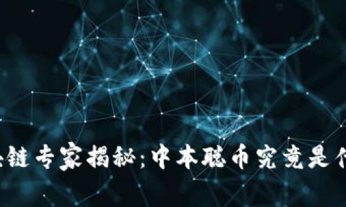 区块链专家揭秘：中本聪币究竟是什么？