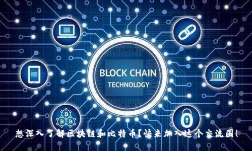 想深入了解区块链和比特币？快来加入这个交流圈！