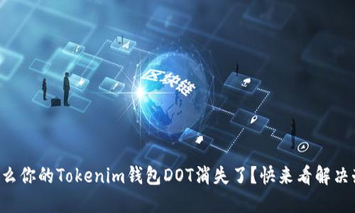 为什么你的Tokenim钱包DOT消失了？快来看解决办法！