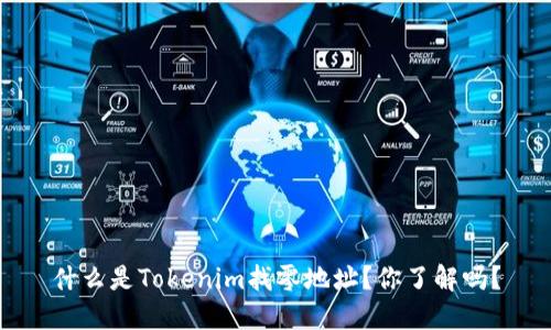 什么是Tokenim找零地址？你了解吗？