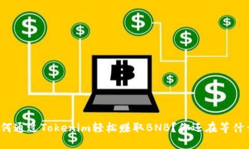 如何通过Tokenim轻松赚取BNB？你还在等什么？