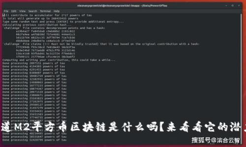 你知道M2平方币区块链是什么吗？来看看它的潜力吧！