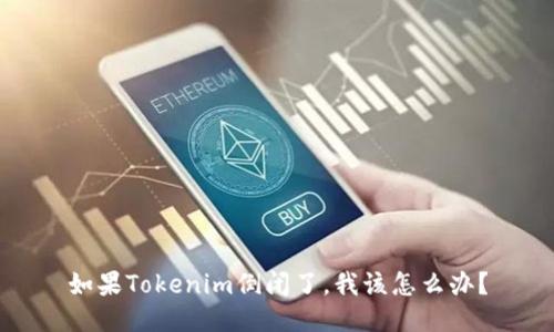 如果Tokenim倒闭了，我该怎么办？