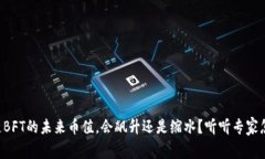 区块链BFT的未来币值，会飙升还是缩水？听听专