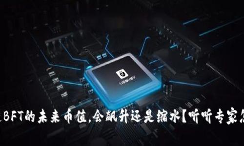 区块链BFT的未来币值，会飙升还是缩水？听听专家怎么说！