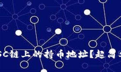 如何查看区块链BSC链上的持币地址？超简单的方法都在这里！