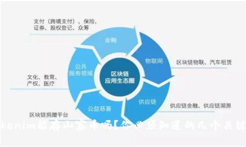 Tokenim能存山寨币吗？你必须知道的几个关键点