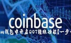 如何在Tokenim钱包中开启DOT转账功能？一步一步教