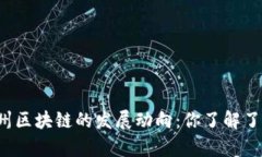贵州区块链的发展动向：你了解了吗？