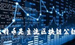 为什么比特币是主流区块链公链的王者？