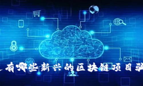 最近有哪些新兴的区块链项目骗局？