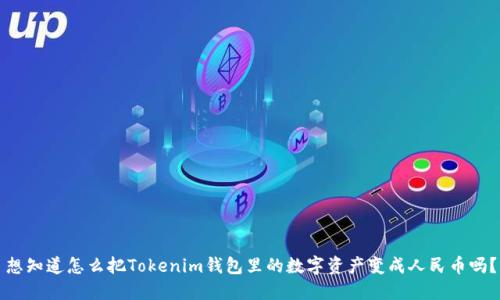 想知道怎么把Tokenim钱包里的数字资产变成人民币吗？
