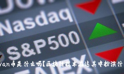 va  
你知道van币是什么吗？区块链技术在这其中扮演什么角色？