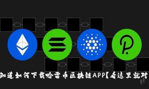 想知道如何下载哈雷币区块链APP？看这里就对了！