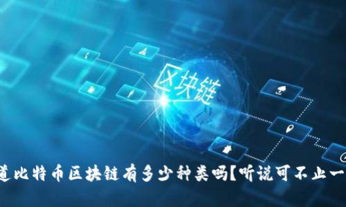 你知道比特币区块链有多少种类吗？听说可不止一种哦！