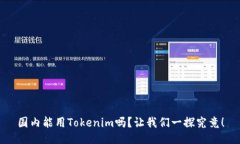 国内能用Tokenim吗？让我们一探究竟！