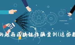 你必须了解的越南区块链诈骗案例！这些教训让