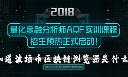 你知道波场币区块链浏览器是什么吗？