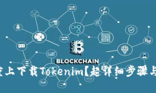 如何在百度上下载Tokenim？超详细步骤与技巧分享！