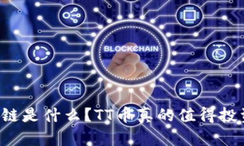 区块链是什么？TT币真的值得投资吗？