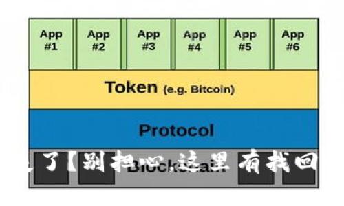Tokenim丢失了？别担心，这里有找回的详细步骤！