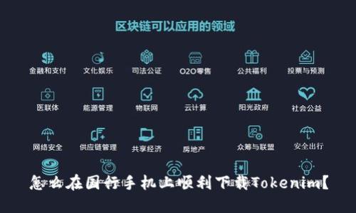 怎么在国行手机上顺利下载Tokenim？