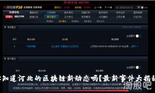 你知道河北的区块链新动态吗？最新事件大揭秘！