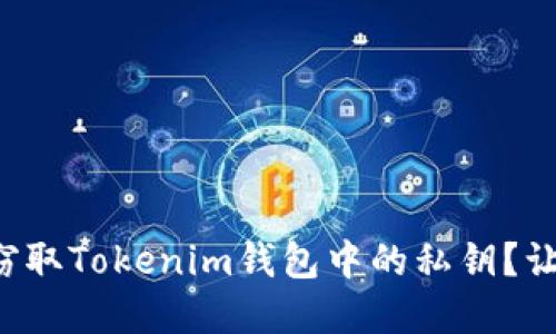 恶意程序能否窃取Tokenim钱包中的私钥？让我们一探究竟！