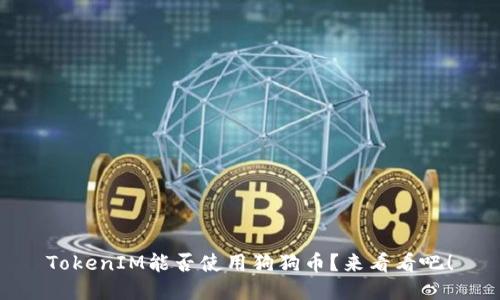 TokenIM能否使用狗狗币？来看看吧！