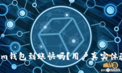 Tokenim钱包到账快吗？用户真实体验揭秘！