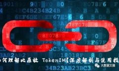 如何理解比原放 TokenIM？深度解析与使用指南