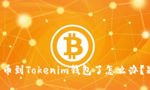 提错币到Tokenim钱包了怎么办？别慌！