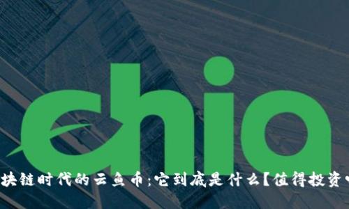 区块链时代的云鱼币：它到底是什么？值得投资吗？