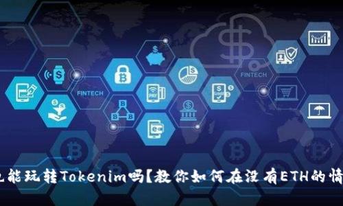 没有ETH也能玩转Tokenim吗？教你如何在没有ETH的情况下使用！