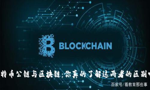 比特币公链与区块链：你真的了解这两者的区别吗？