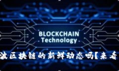 想知道第九波区块链的新鲜动态吗？来看看最新