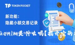 你知道tokenim是什么吗？揭开它的神秘面纱！