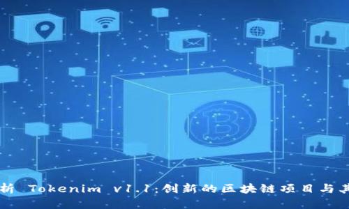 深入解析 Tokenim v1.1：创新的区块链项目与其影响力