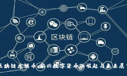 区块链龙鳞币：新兴数字货币的崛起与未来展望