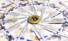 如何导入BTC钱包到IM平台：详细步骤与注意事项